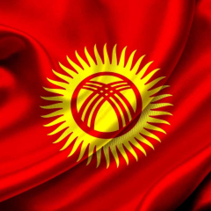 Официальный сайт компании Pugang Pharmaeutic Co Ltd дистрибьютор в Киргизия