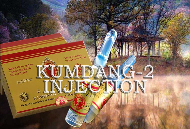 Официальный сайт компании Pugang Pharmaeutic Co Ltd лекарственный товар кымдан 2 инъекция